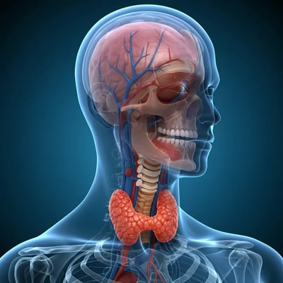 Endocrinología: Comprende su importancia y tratamientos disponibles