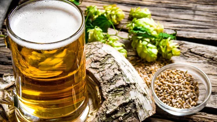 lúpulo y cerveza