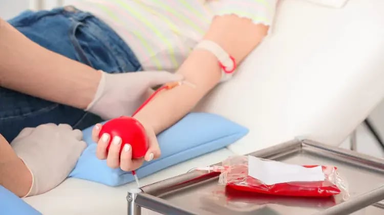 dar-sangre-68100df3a1669