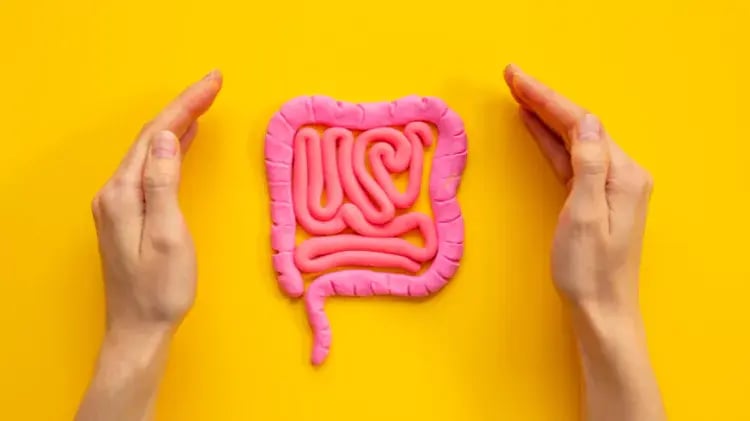 tracto-digestivo-67b3b72cae938